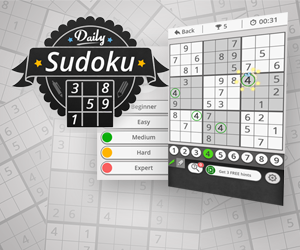 Schwarz weißes Sudokufeld